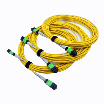 12CORES MPO MTP প্যাচ কর্ড 3.0MM