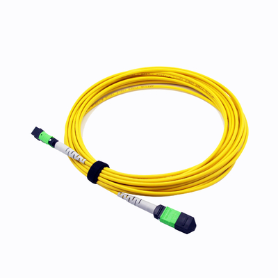 12CORES MPO MTP প্যাচ কর্ড 3.0MM