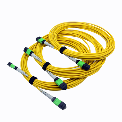12CORES MPO MTP প্যাচ কর্ড 3.0MM