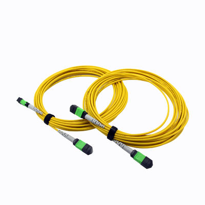 12CORES MPO MTP প্যাচ কর্ড 3.0MM